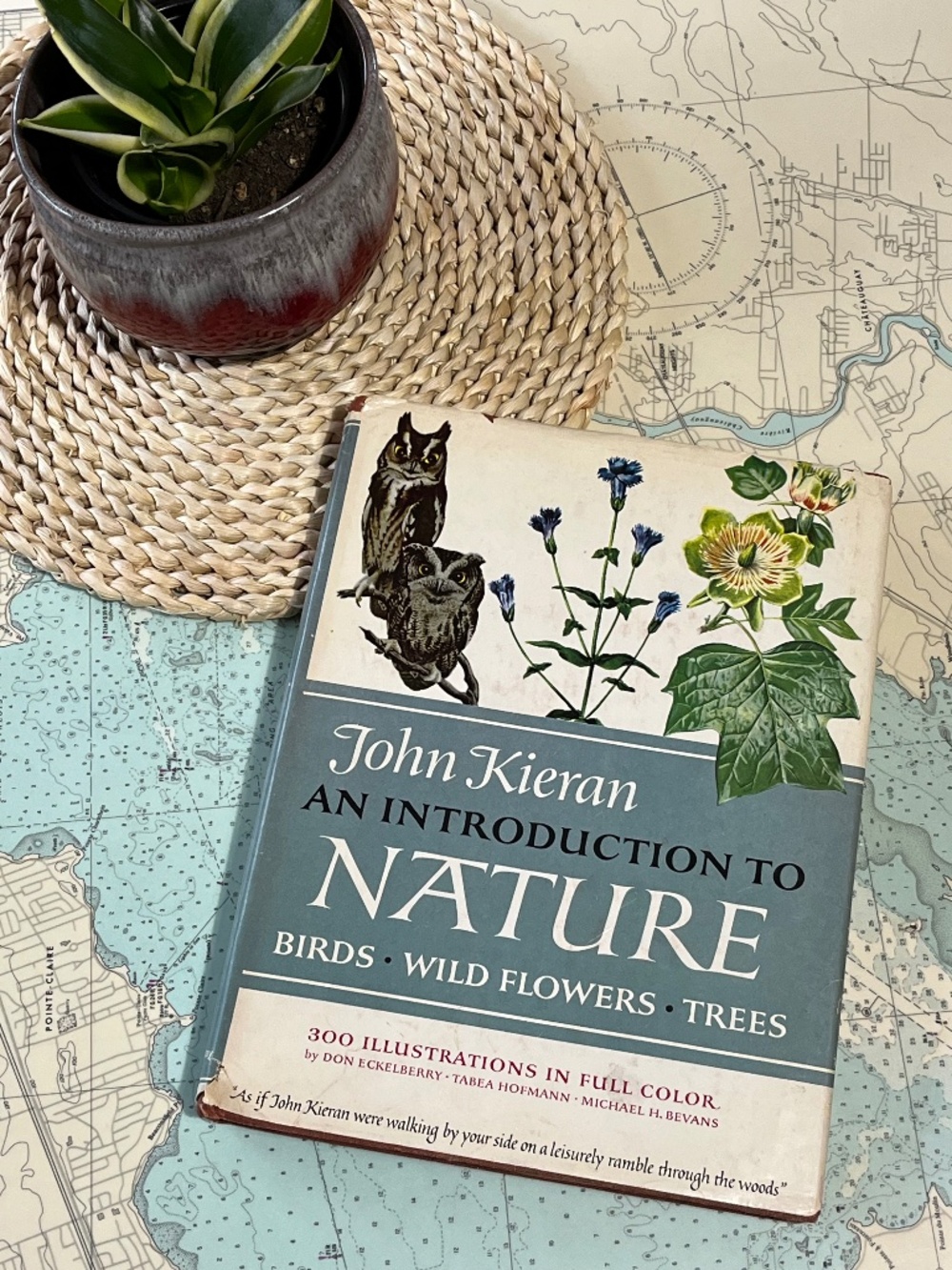 Vintage 1955 An Introduction to Nature by John Kieran